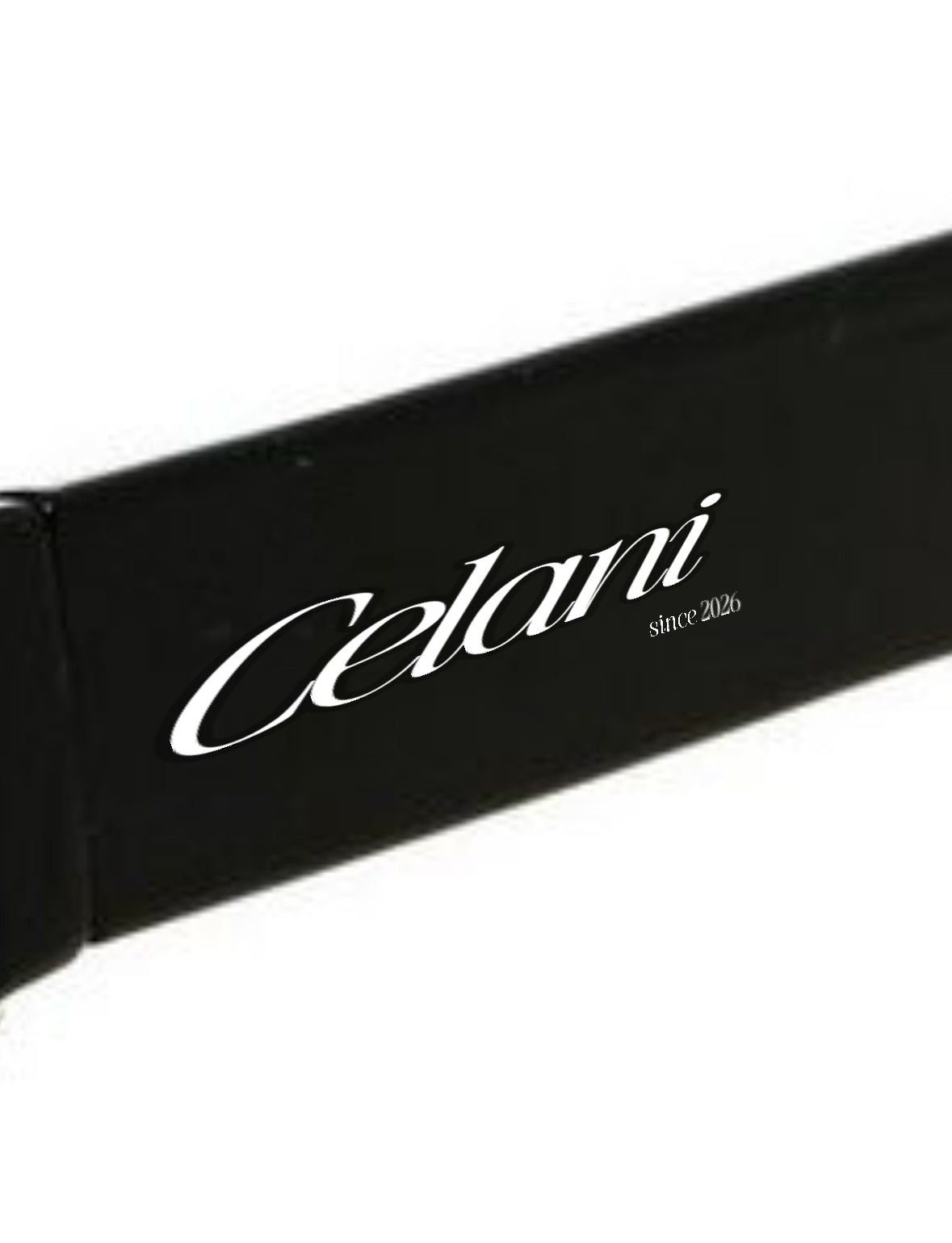 Future 2026 Sunglasses Black
