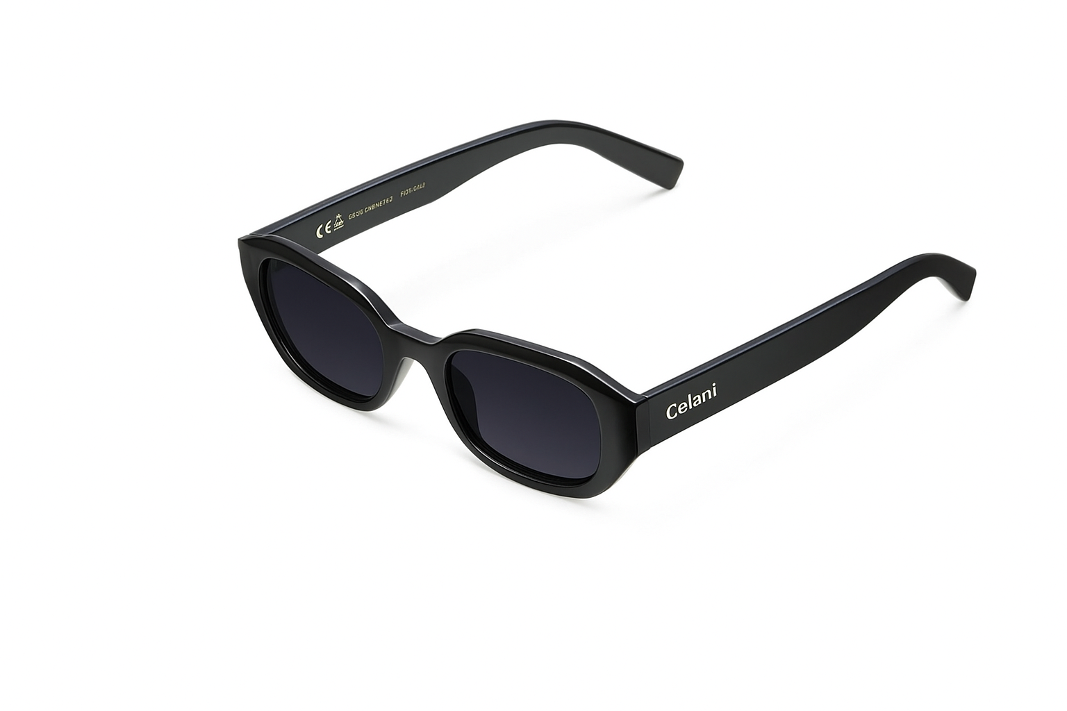 Paso Sunglasses Black