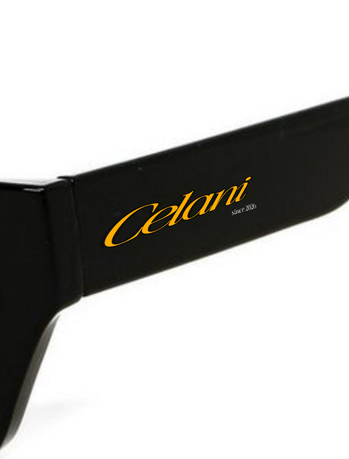 Future 2026 Sunglasses Black