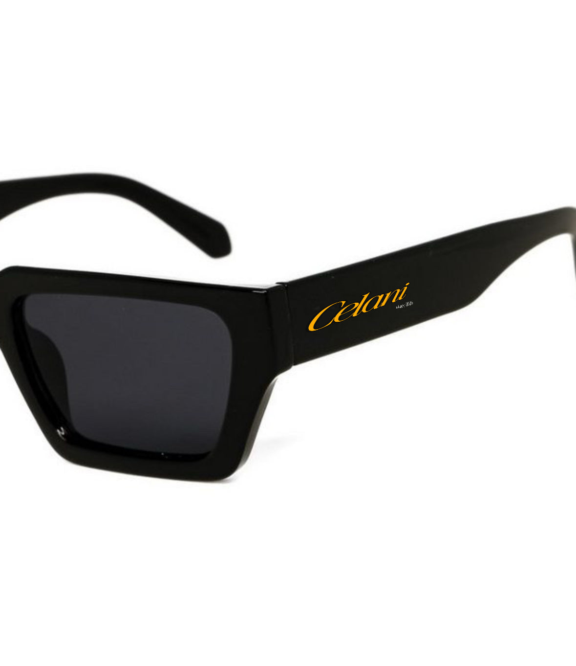 Future 2026 Sunglasses Black